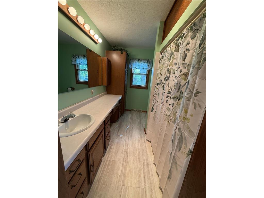 209 S Spring Avenue Springfield MN 56087 7074768 image6