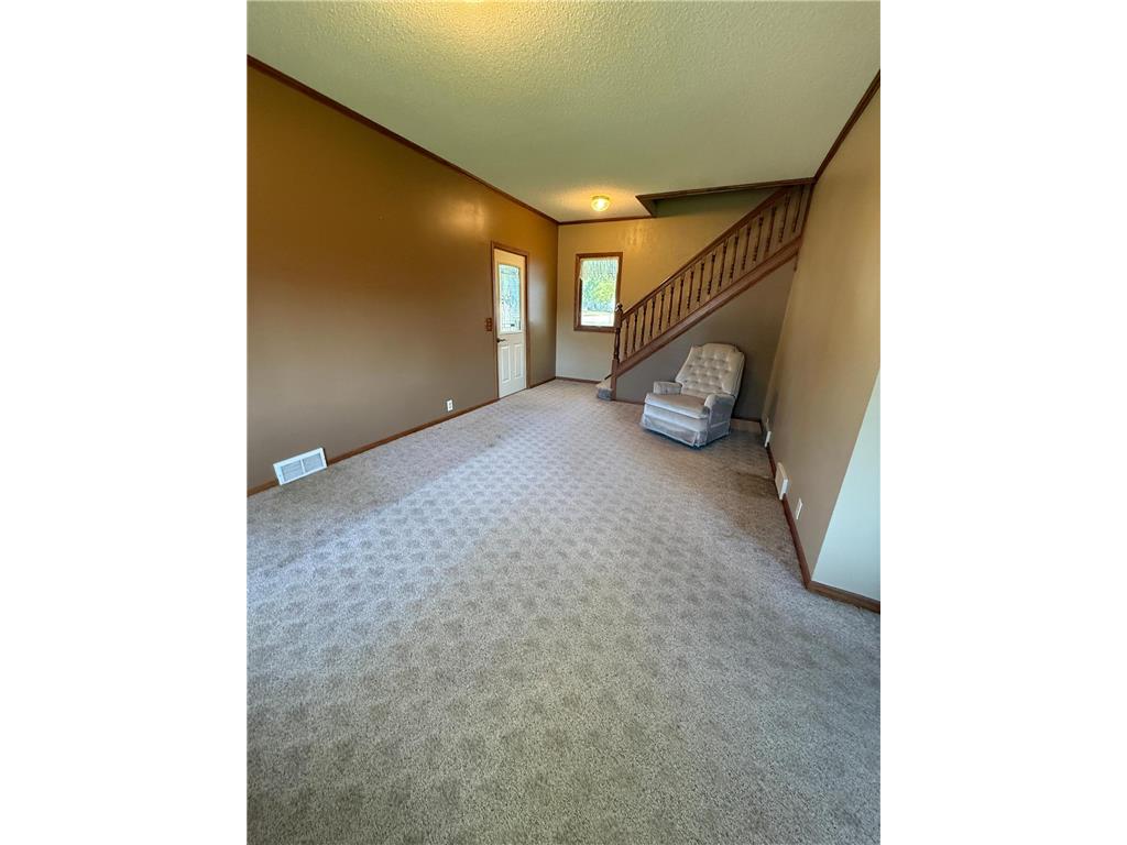 209 S Spring Avenue Springfield MN 56087 7074768 image7