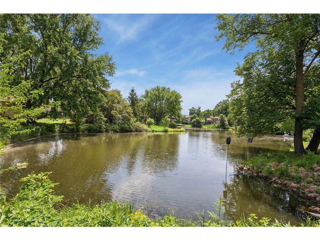 2095 Kelly Drive Golden Valley MN 55427 7086611 image4