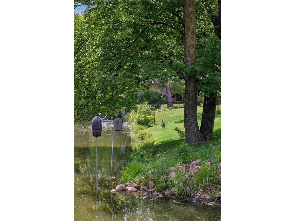 2095 Kelly Drive Golden Valley MN 55427 7086611 image47