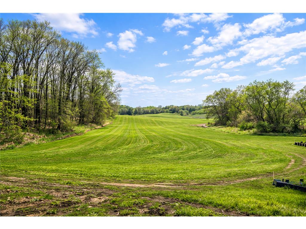 20956 Horseshoe Court Credit River MN 55372 7036872 image2