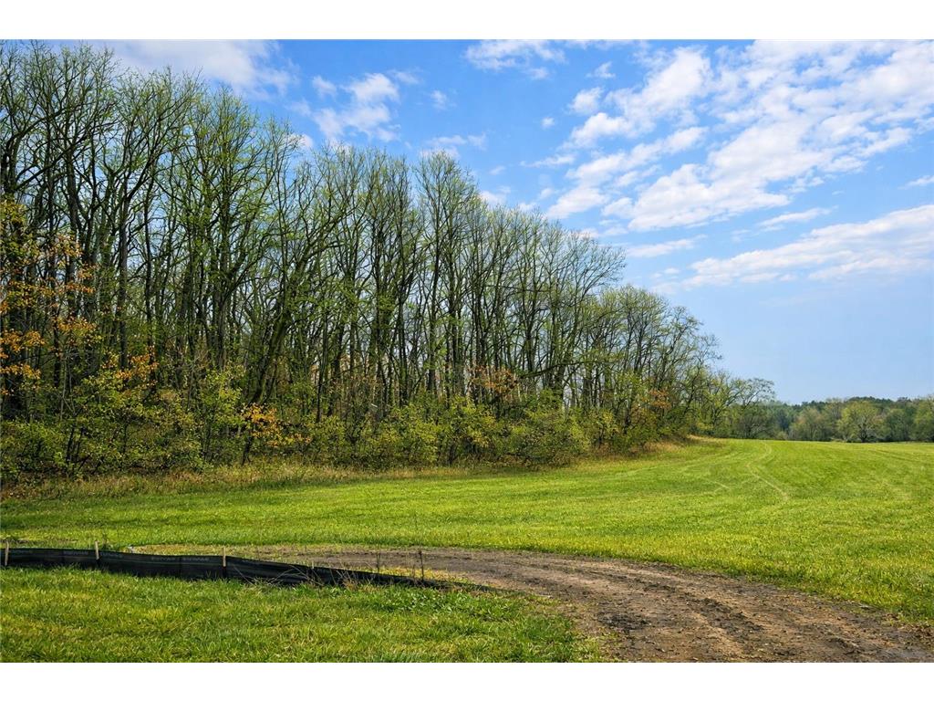 20956 Horseshoe Court Credit River MN 55372 7036872 image3