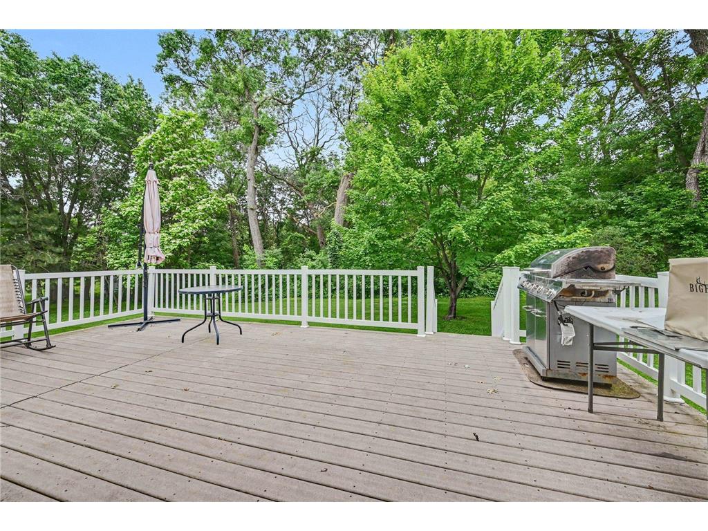 20966 Davenport Street NE East Bethel MN 55011 7094055 image24