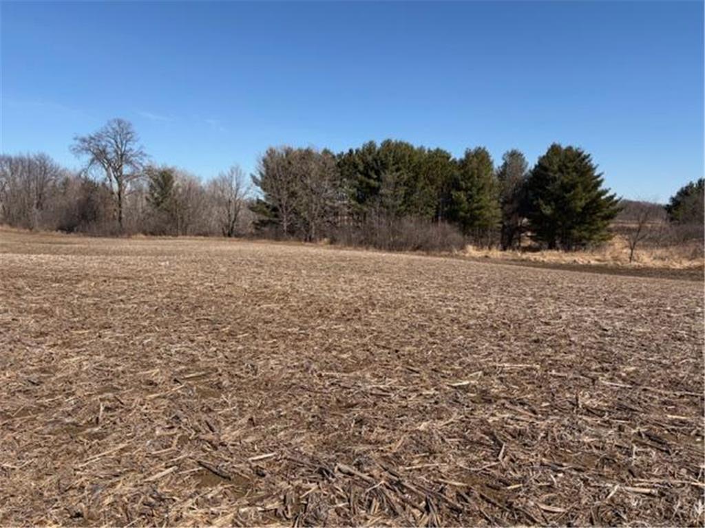 20XX Quail Street Mora MN 55051 7018481 image10