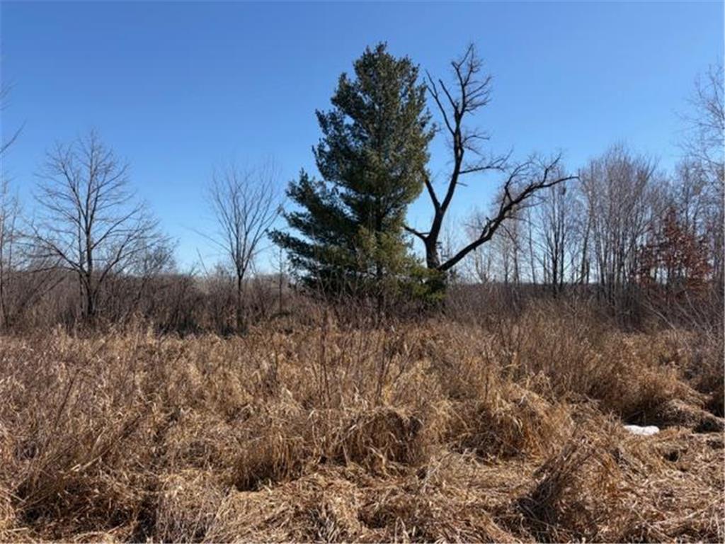 20XX Quail Street Mora MN 55051 7018481 image11