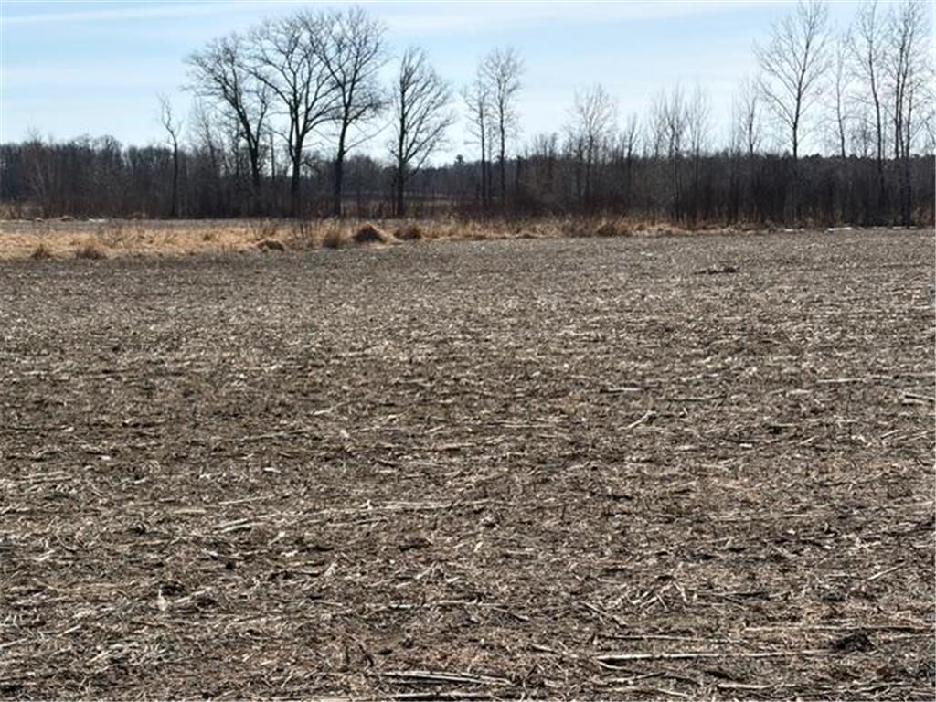 20XX Quail Street Mora MN 55051 7018481 image12