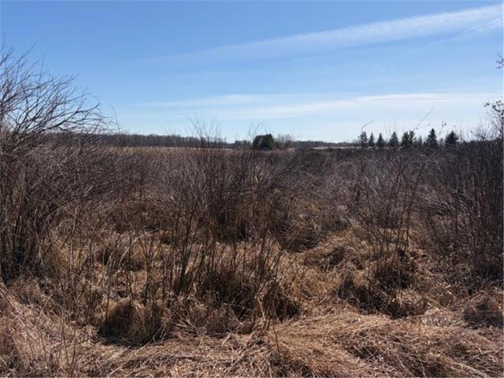 20XX Quail Street Mora MN 55051 7018481 image13