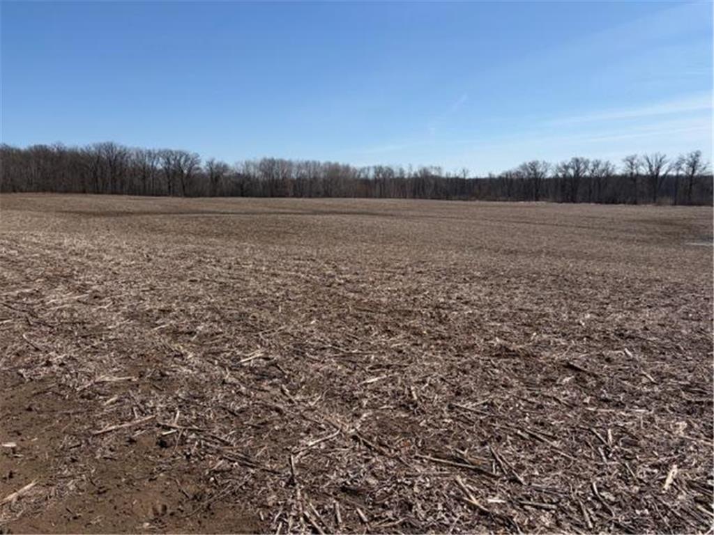 20XX Quail Street Mora MN 55051 7018481 image16