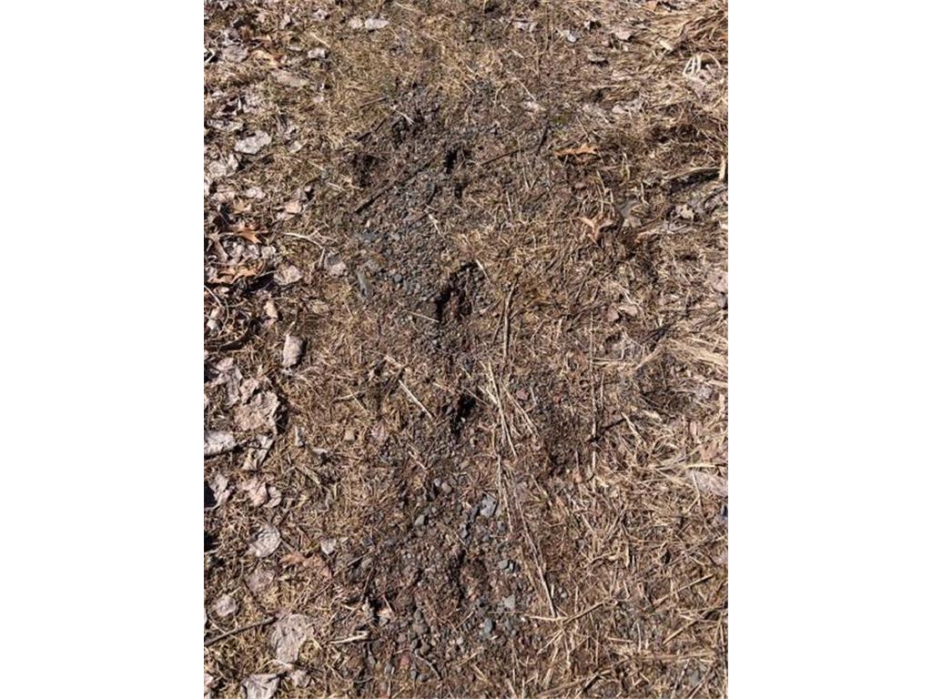 20XX Quail Street Mora MN 55051 7018481 image17