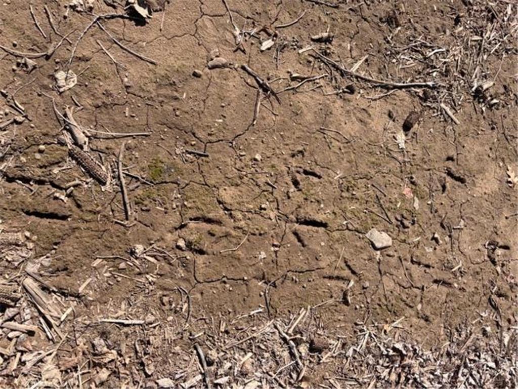 20XX Quail Street Mora MN 55051 7018481 image18