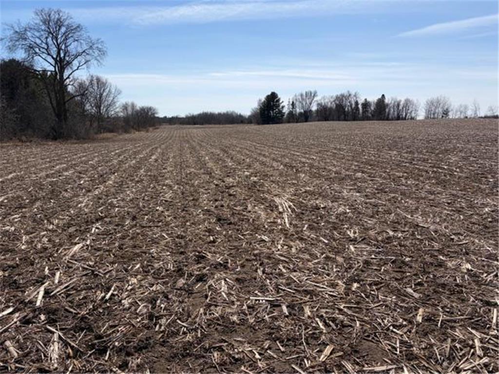 20XX Quail Street Mora MN 55051 7018481 image3