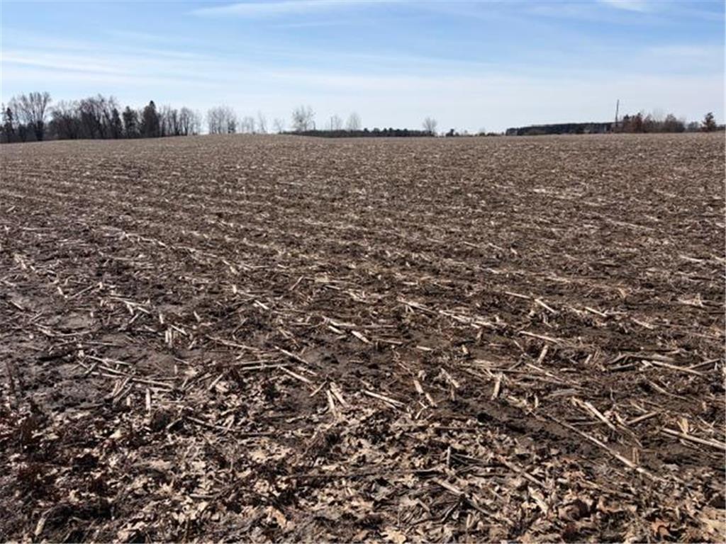 20XX Quail Street Mora MN 55051 7018481 image4