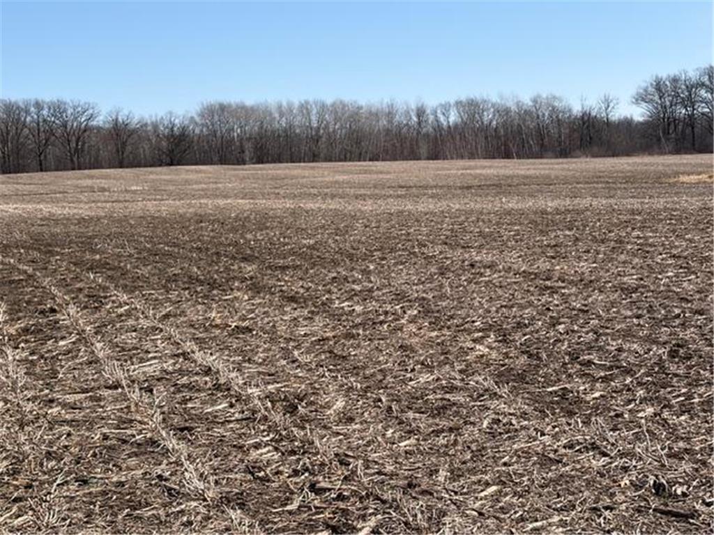 20XX Quail Street Mora MN 55051 7018481 image5