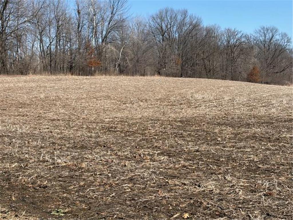 20XX Quail Street Mora MN 55051 7018481 image6