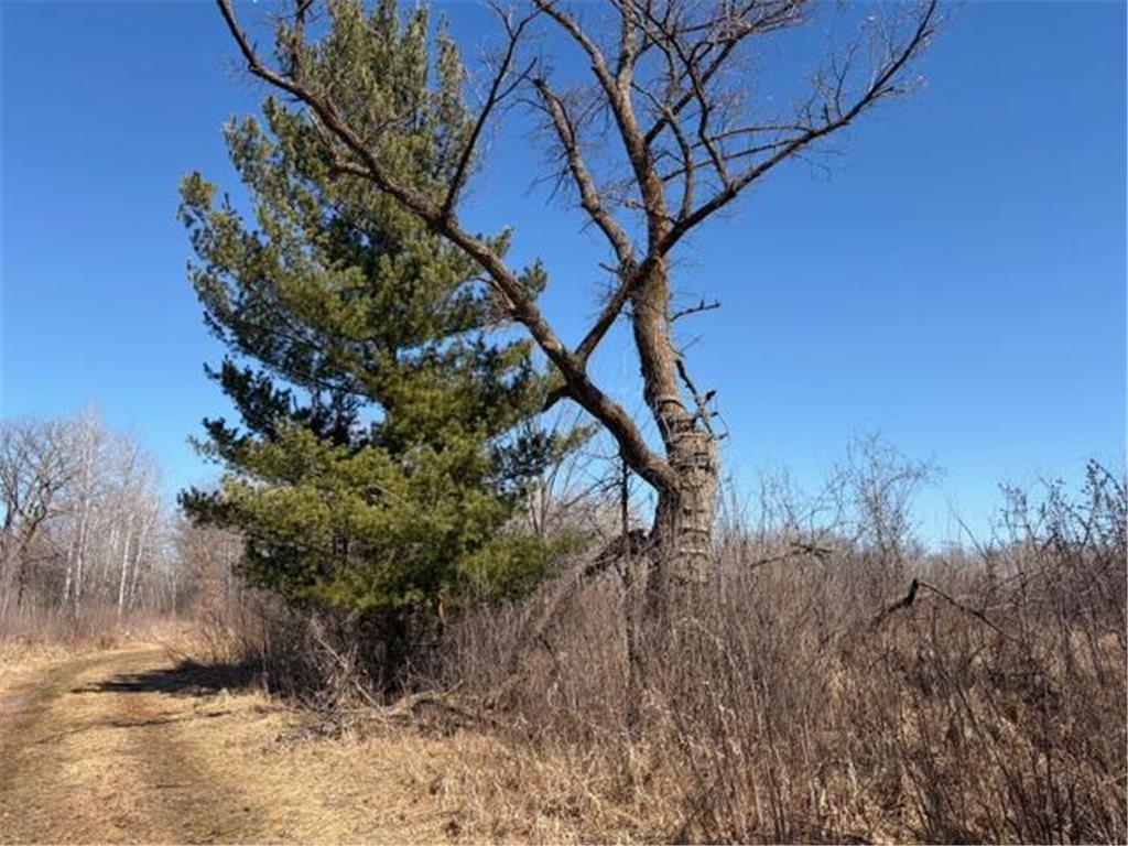 20XX Quail Street Mora MN 55051 7018481 image9