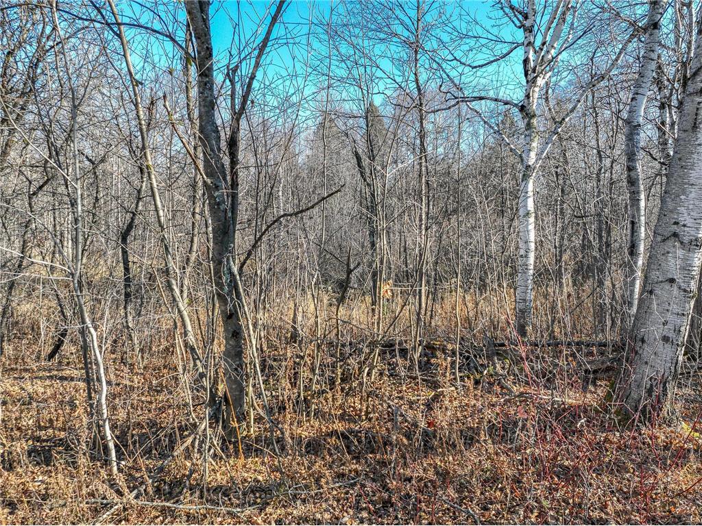 20xx Stanford Avenue Duluth MN 55811 6818554 image6