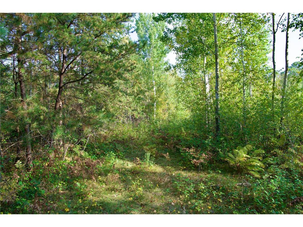21.8 Acres Hwy 371 Brainerd MN 56401 6798252 image11