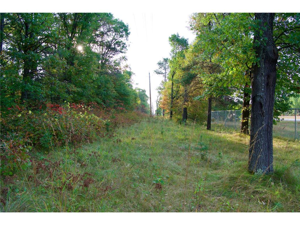 21.8 Acres Hwy 371 Brainerd MN 56401 6798252 image3