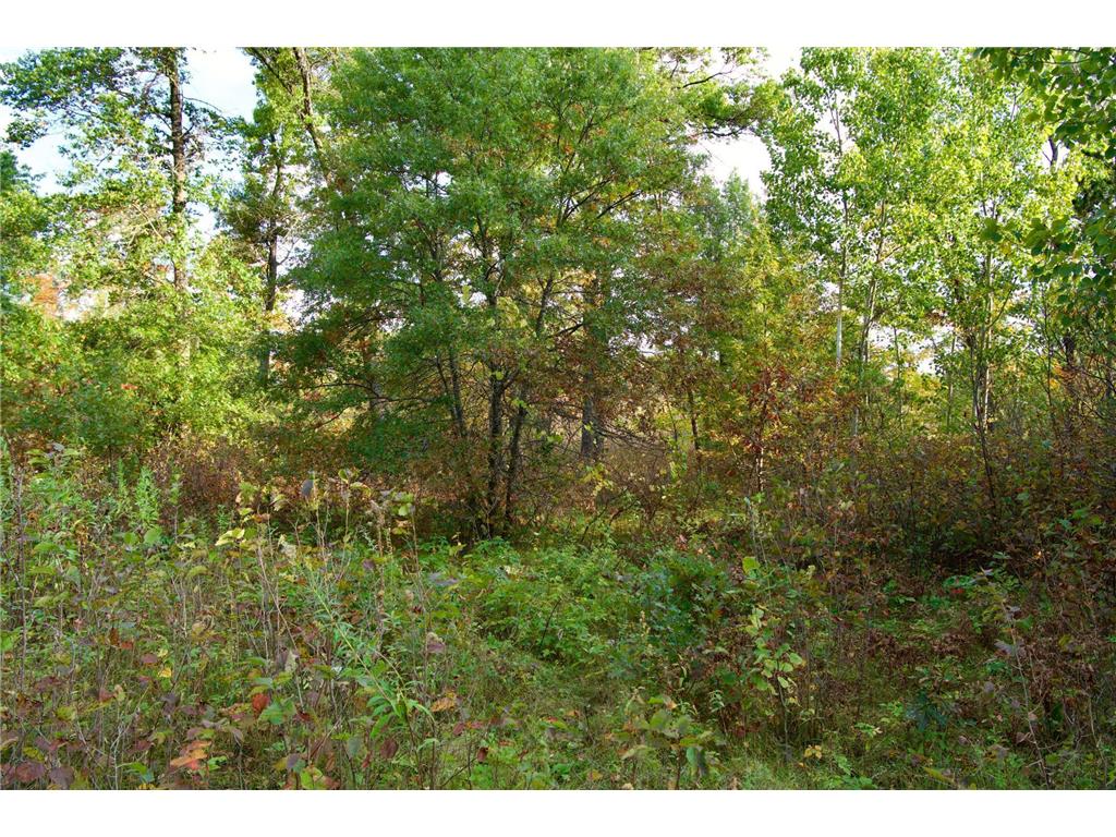 21.8 Acres Hwy 371 Brainerd MN 56401 6798252 image5