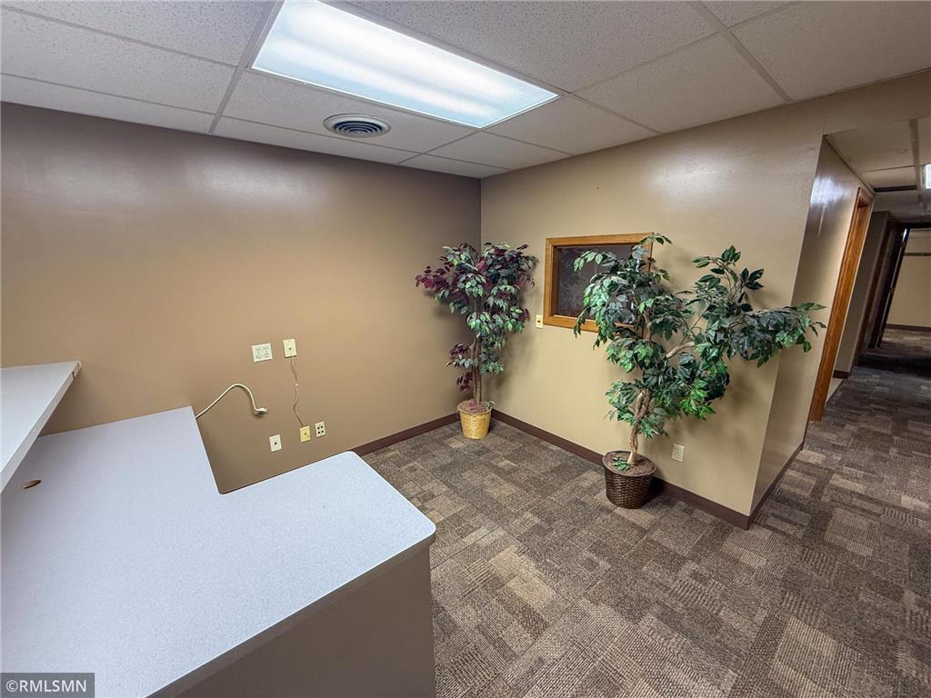 210 Bush Street Red Wing MN 55066 6682550 image38