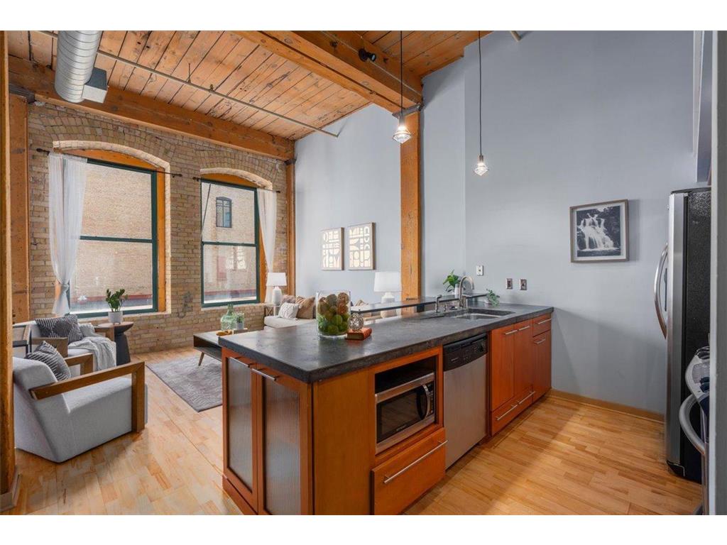 210 N 2nd Street #206 Minneapolis MN 55401 7033369 image8