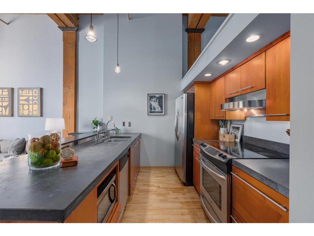 210 N 2nd Street #206 Minneapolis MN 55401 7033369 image9