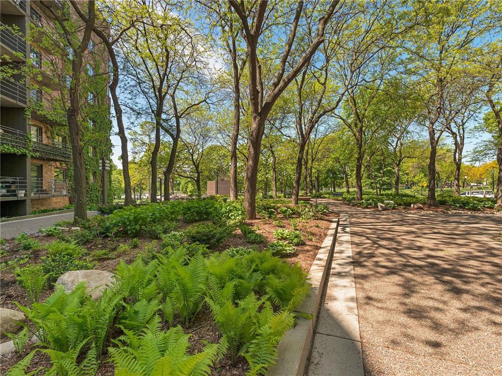 210 W Grant Street #107 Minneapolis MN 55403 7095811 image17