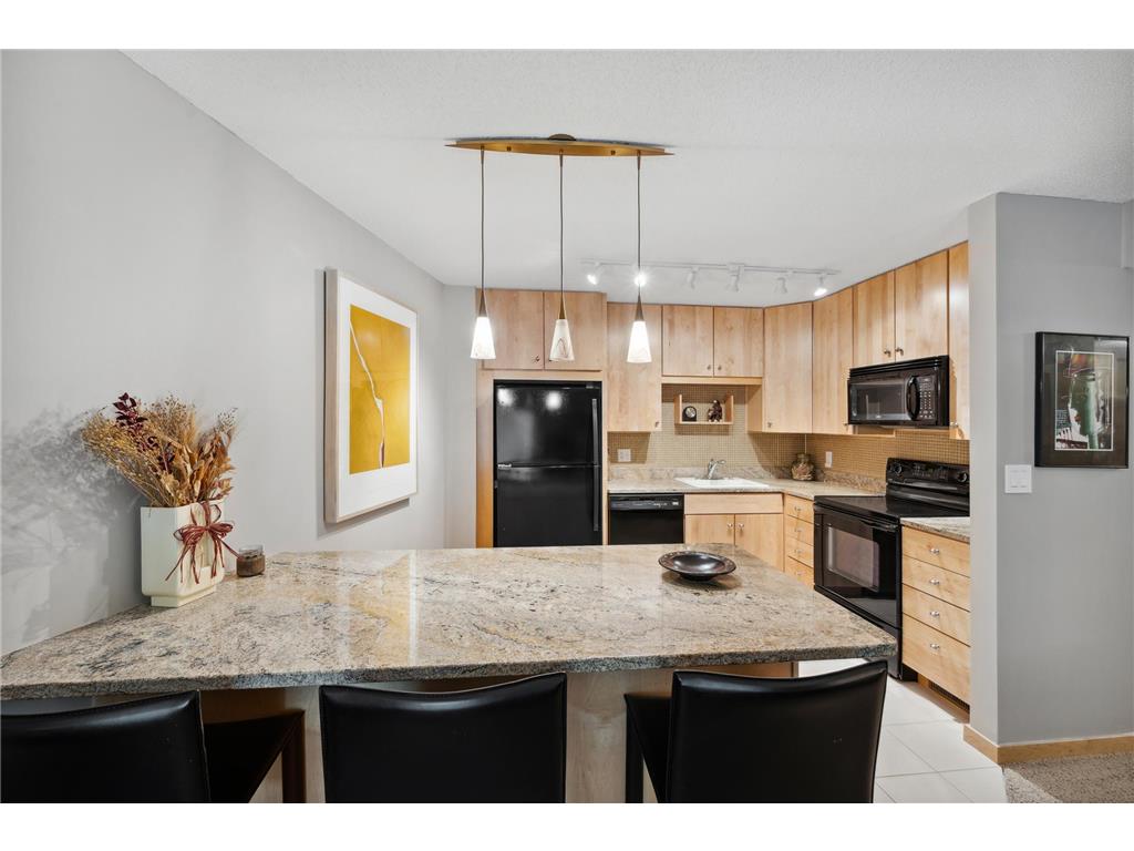 210 W Grant Street #216 Minneapolis MN 55403 6358599 image1