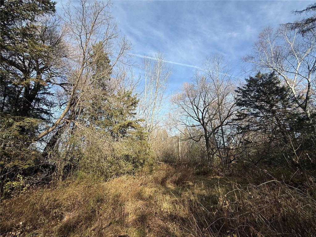 2100 W Arrowhead Road Duluth MN 55811 - Chester Creek 7019115 image7