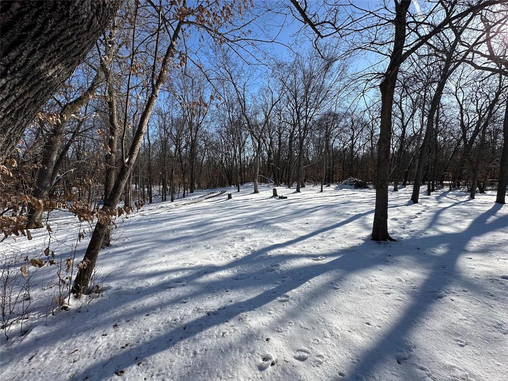 21005 NW 53rd Street, Sunburg, MN, 56289 MLS 6504058 Edina Realty