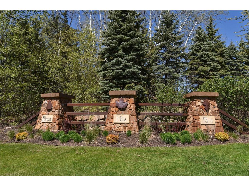 21009 Karoline Court N Forest Lake MN 55025 - Forest 7007149 image54