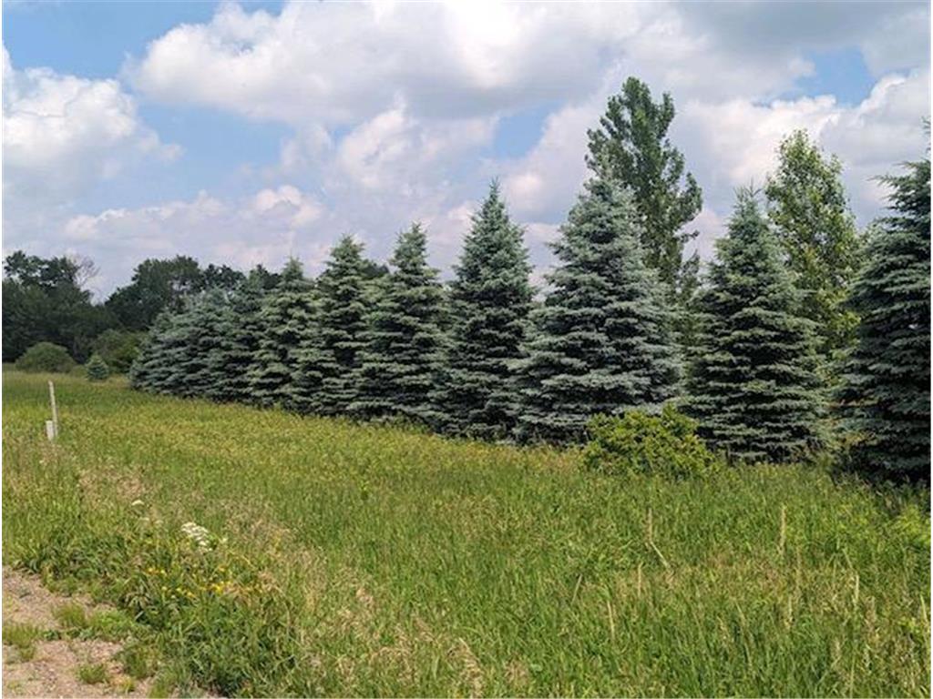 2101 Barron Polk Street Crystal Lake Twp WI 54826 6390698 image1