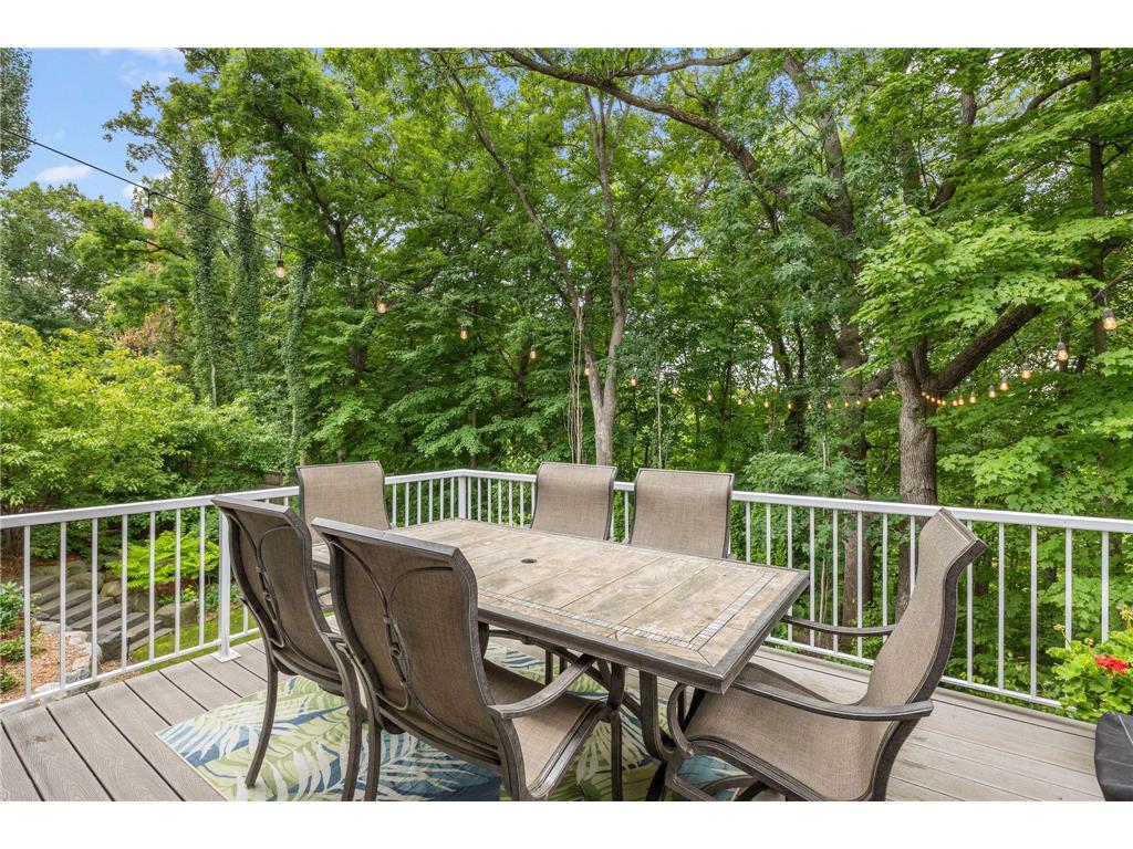 21018 Karoline Court N Forest Lake MN 55025 - Forest 7091258 image16