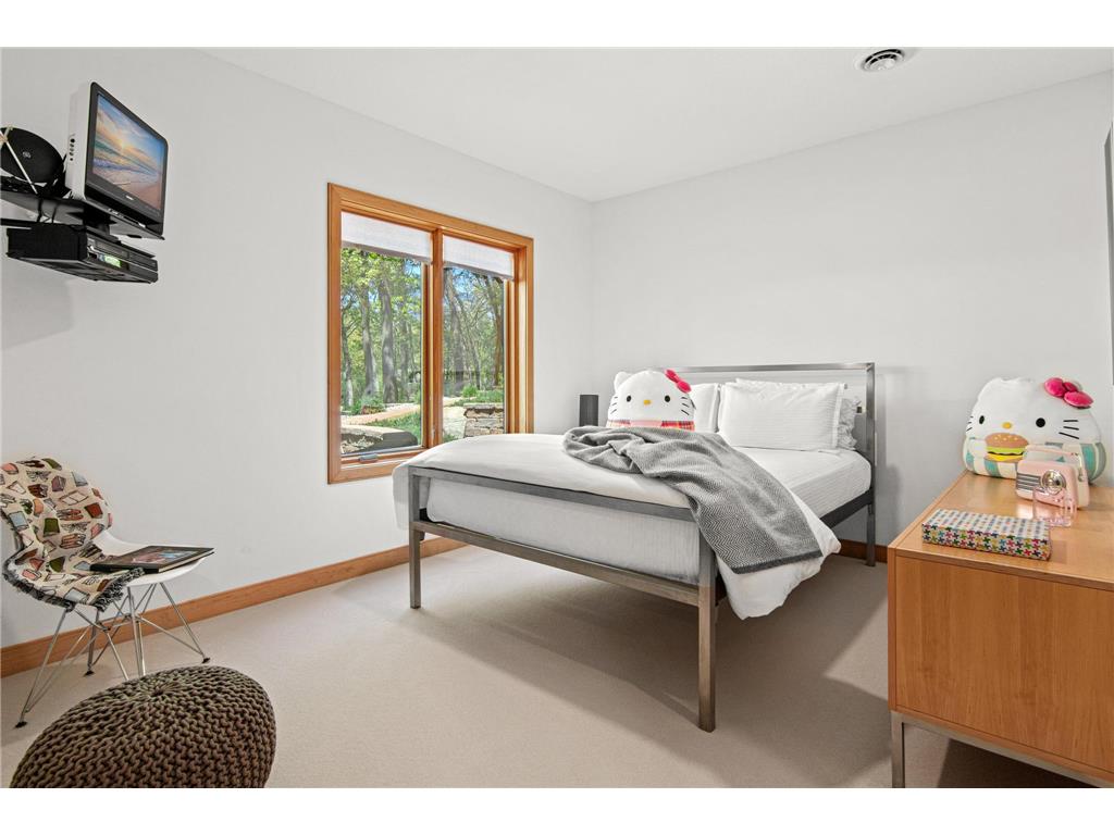 21019 France Boulevard Lakeville MN 55044 7061859 image34