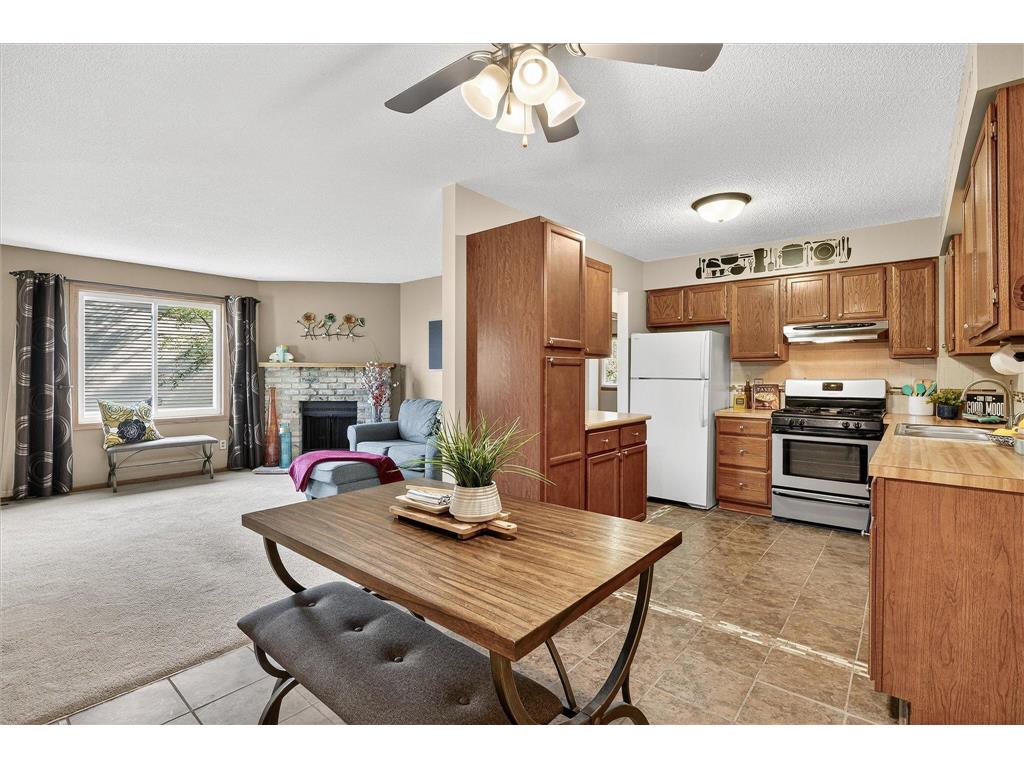 2102 110th Avenue NW Coon Rapids MN 55433 6785353 image1