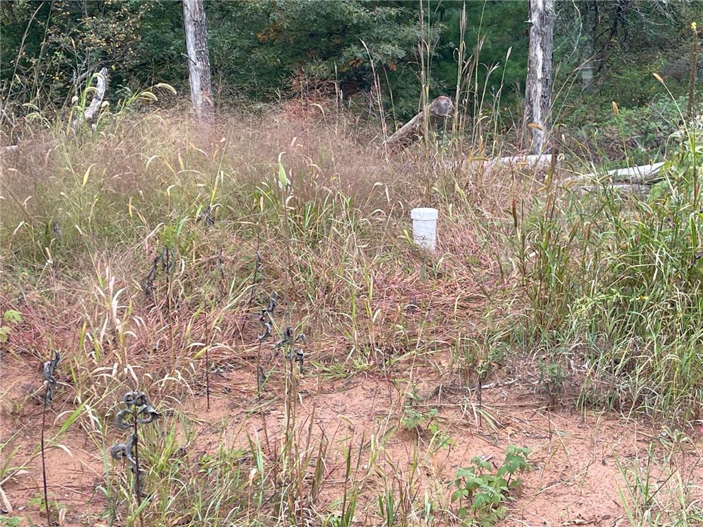 21030 Cemetery Road Anderson Twp WI 54840 6789646 image13