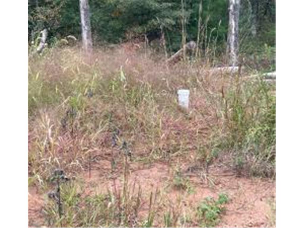 21030 Cemetery Road Anderson Twp WI 54840 7081753 image4