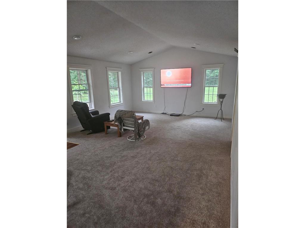 21039 Cedar Creek Road Chengwatana Twp MN 55063 7095643 image7