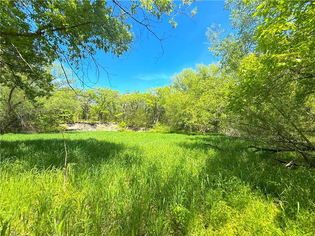 21044 County Road 75 Clearwater MN 55320 - Plum Creek 7083103 image36