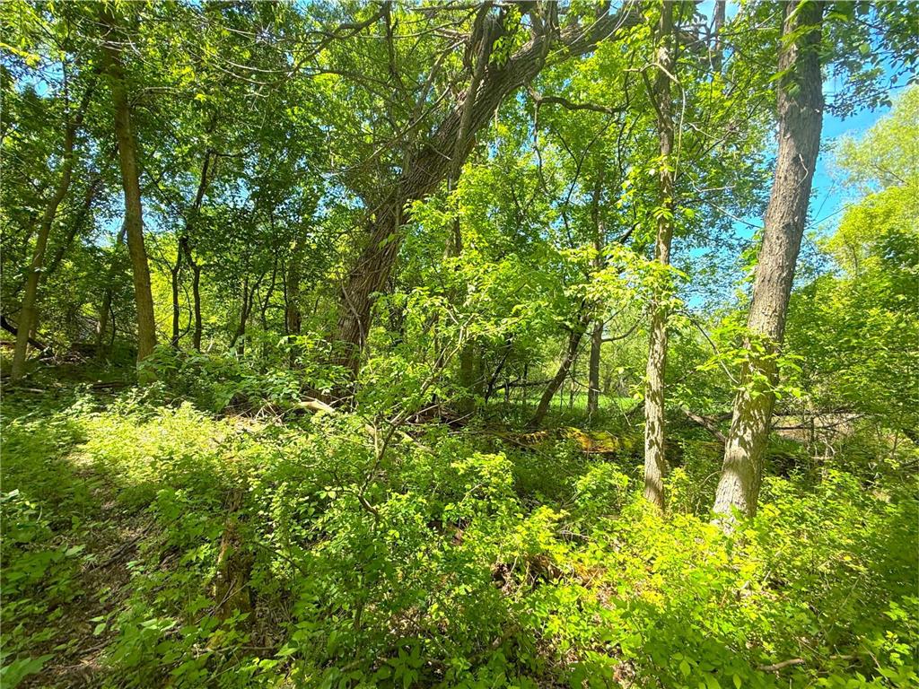 21044 County Road 75 Clearwater MN 55320 - Plum Creek 7083103 image39
