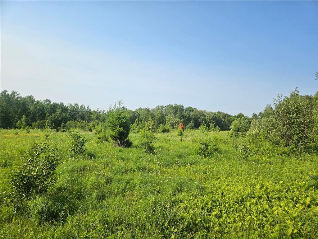 21048 County Road 36 Crosby MN 56441 7095134 image5