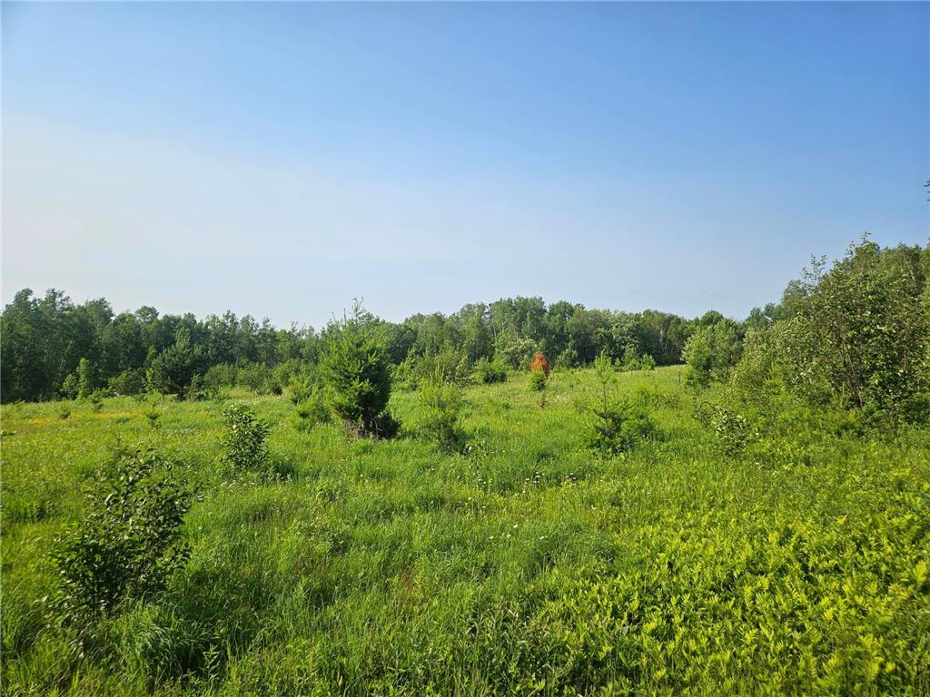 21048 County Road 36 Crosby MN 56441 7095134 image7