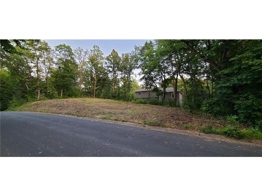 2108 Goldfinch Drive Buffalo MN 55313 - Pulaski 6648363 image1