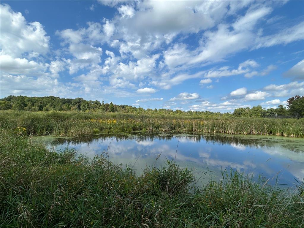 21087 National Street NE East Bethel MN 55011 6795371 image37