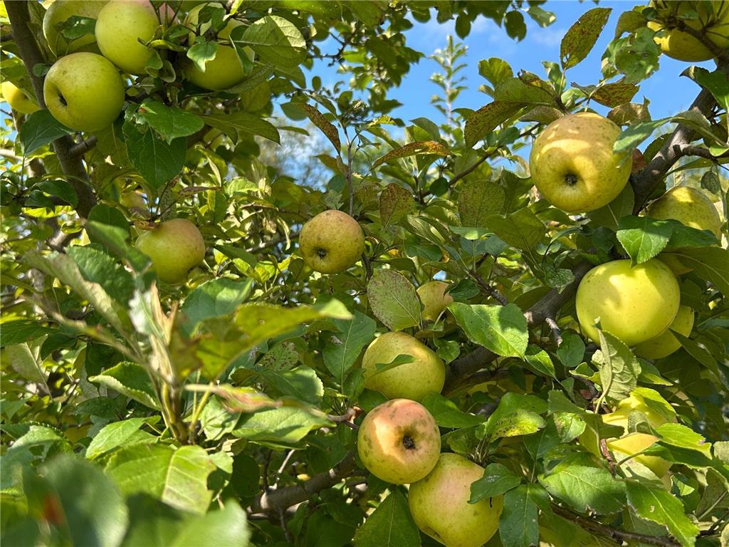 21087 National Street NE East Bethel MN 55011 6795371 image38