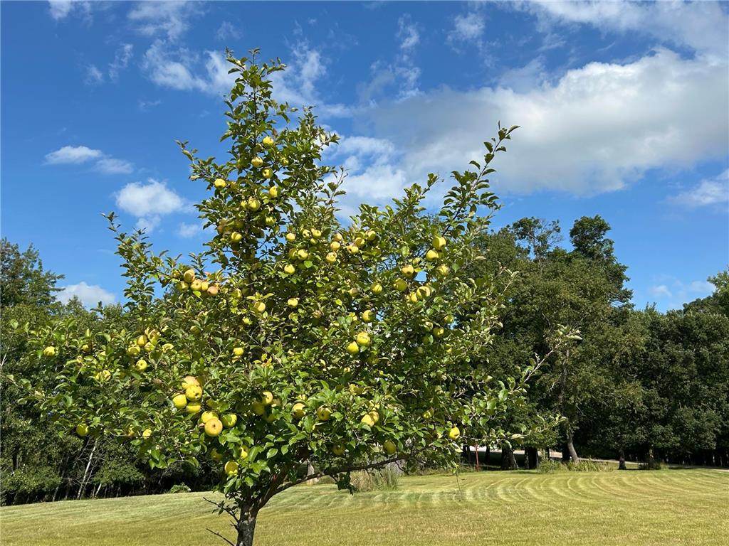 21087 National Street NE East Bethel MN 55011 6795371 image39