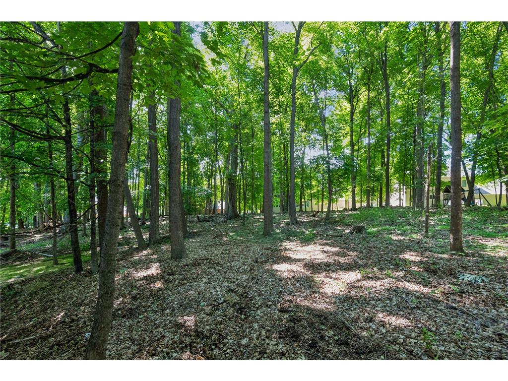 2109 Stone Creek Drive Chanhassen MN 55317 7099843 image22