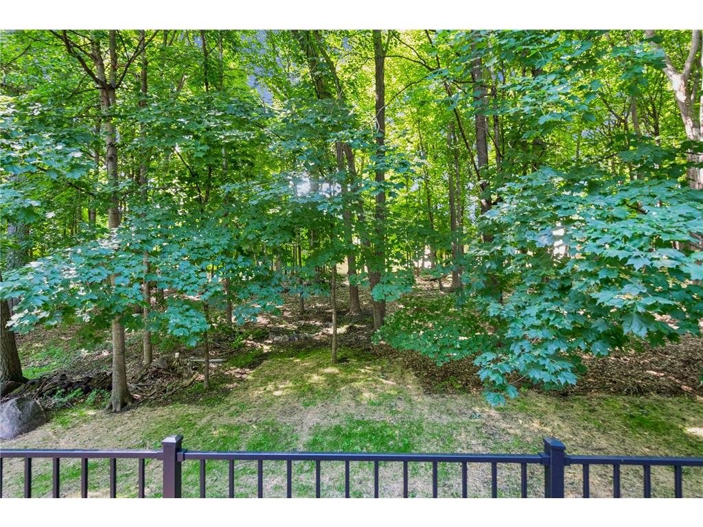 2109 Stone Creek Drive Chanhassen MN 55317 7099843 image25