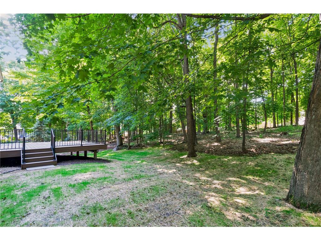 2109 Stone Creek Drive Chanhassen MN 55317 7099843 image45