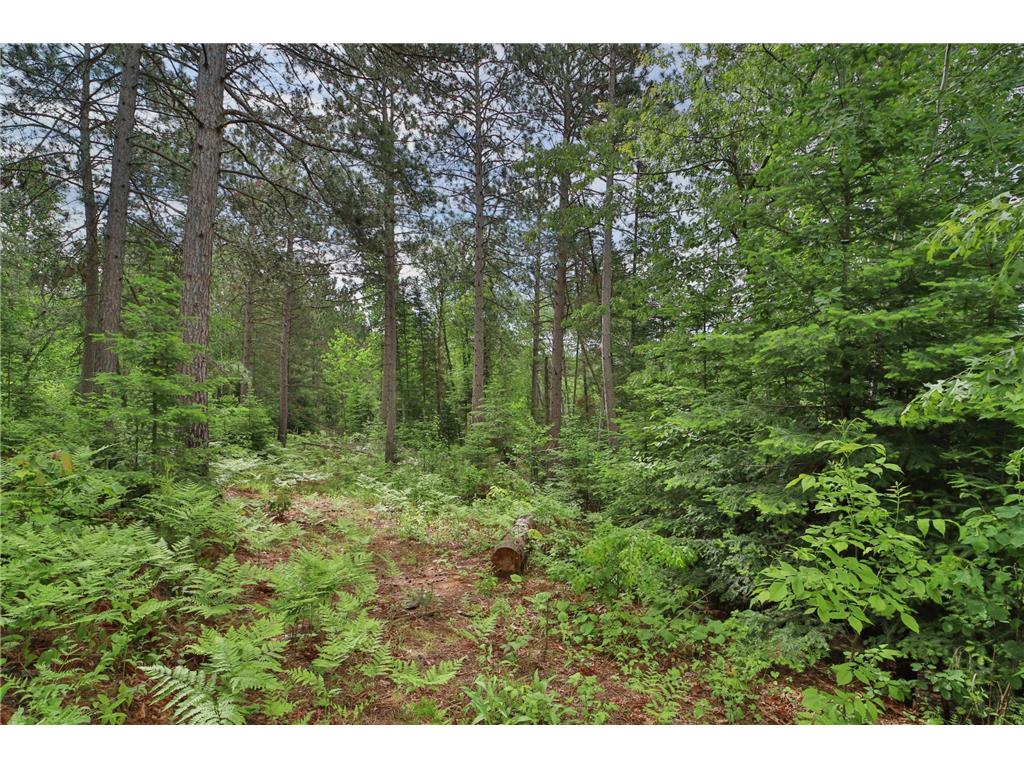 21097 Gilmer Road Crosby MN 56441 6719137 image35